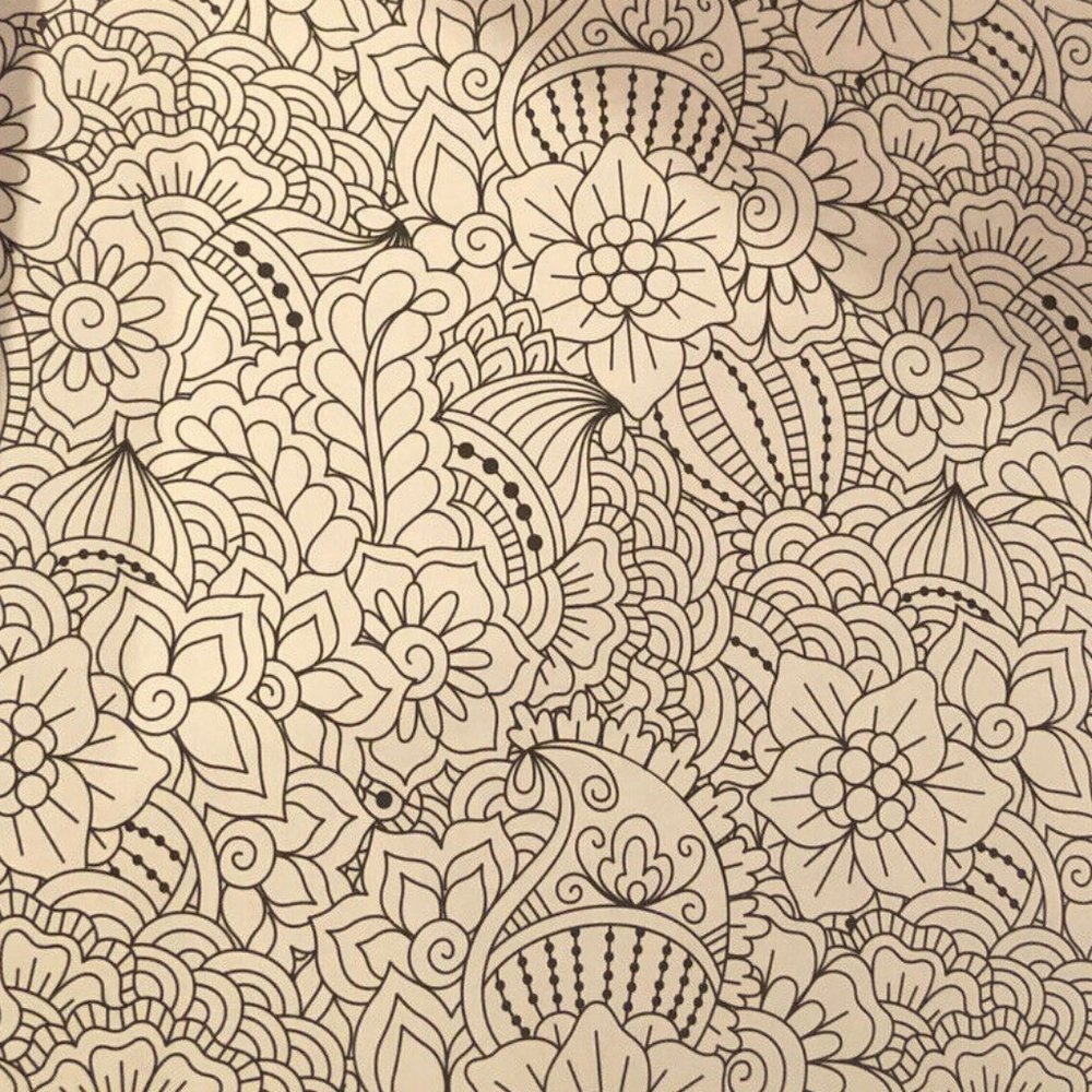 Color Art Color & Create Nature Adult Coloring Book - Picture 3 of 4